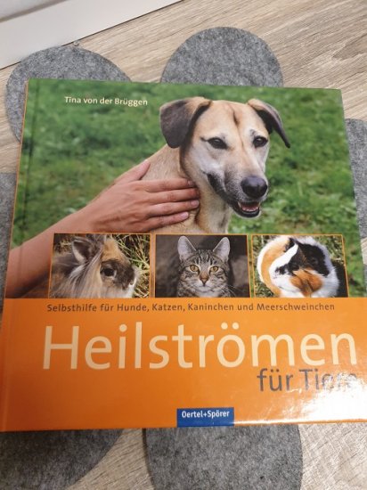 Heilströmen für Tiere - Buch - Tina von der Brüggen - zum Schließen ins Bild klicken