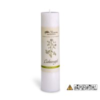 (Bild für) Allgäuer Heilkräuter Kerze - Lichtengel -