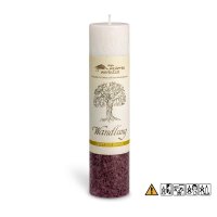 (Bild für) Allgäuer Heilkräuter-Kerze - Wandlung -